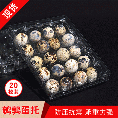 現貨透明鵪鶉蛋塑料托加厚帶扣鴿子蛋托一次性20枚鵪鶉蛋包裝盒